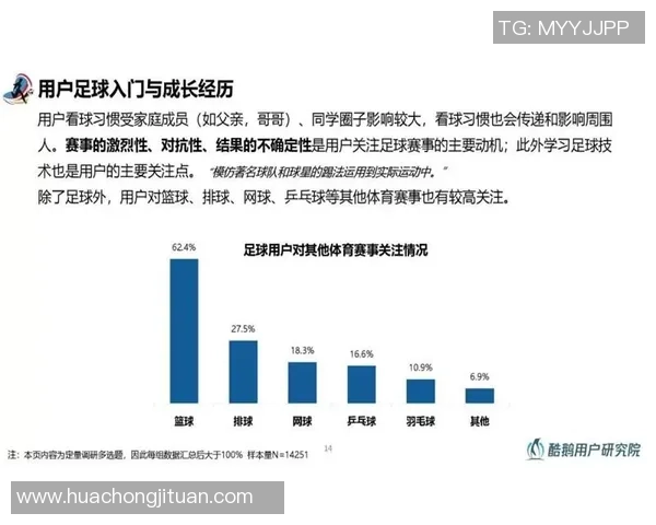 深圳羽毛球队技术表现深度分析与数据洞察探讨